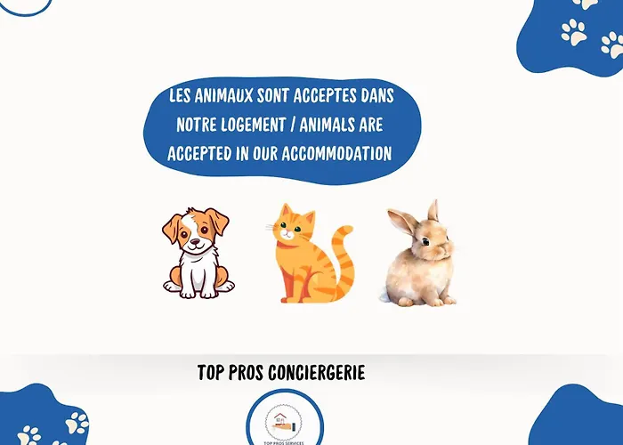 Cosyfamily Piscine Jacuzzi Wifi 15min Idéal Famille - Topprosconciergerie